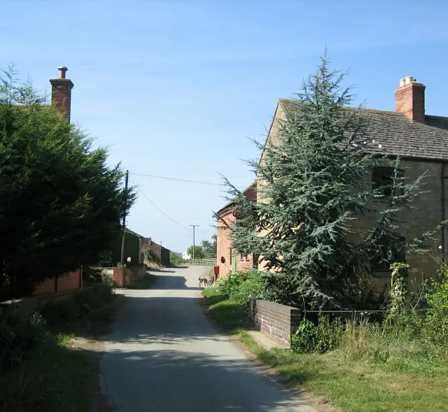 Murcot
