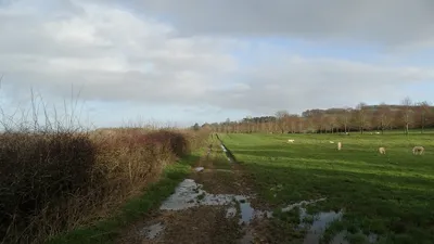 Cotswold Way, north of Wood Stanway