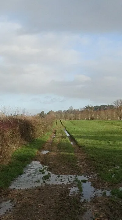 Cotswold Way, north of Wood Stanway