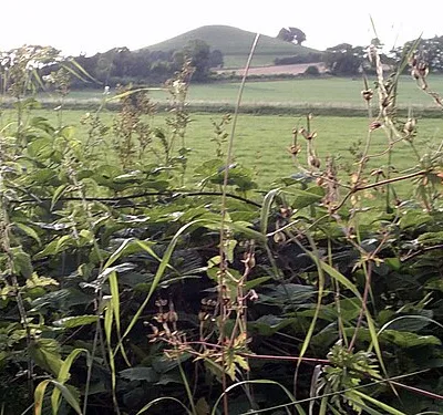 Another view of Picked Hill from the canal