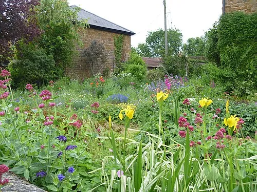 An English country garden [1]