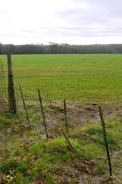 Cotswolds arable land
