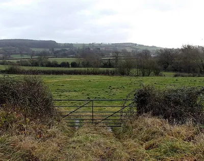 A roadside field near Crowcomepill