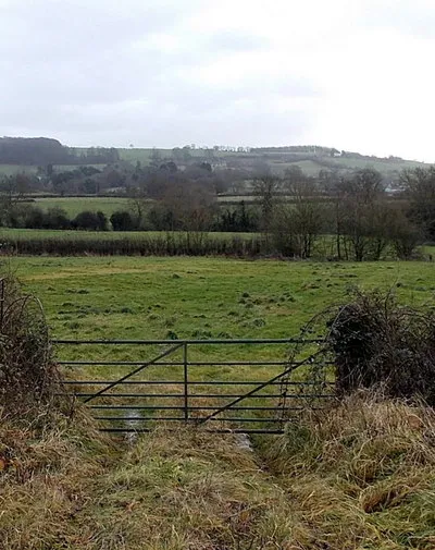 A roadside field near Crowcomepill