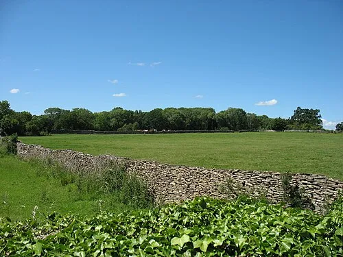 Allen Grove