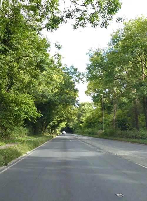 Forest Hill