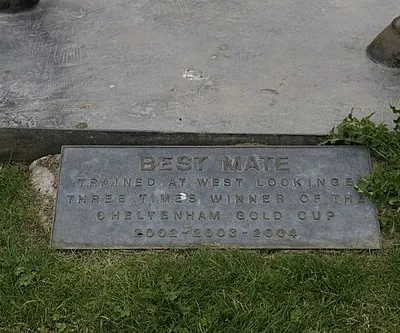 Best Mate plaque