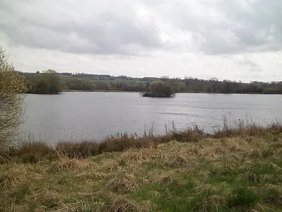 Alongside the lake