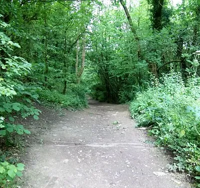 Before the descent