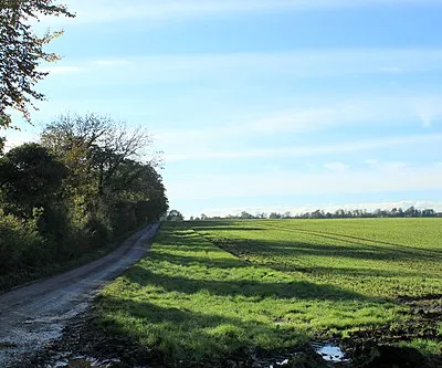 2011 : Track to the forbidden land