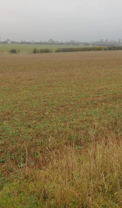 Arable land near Quenington