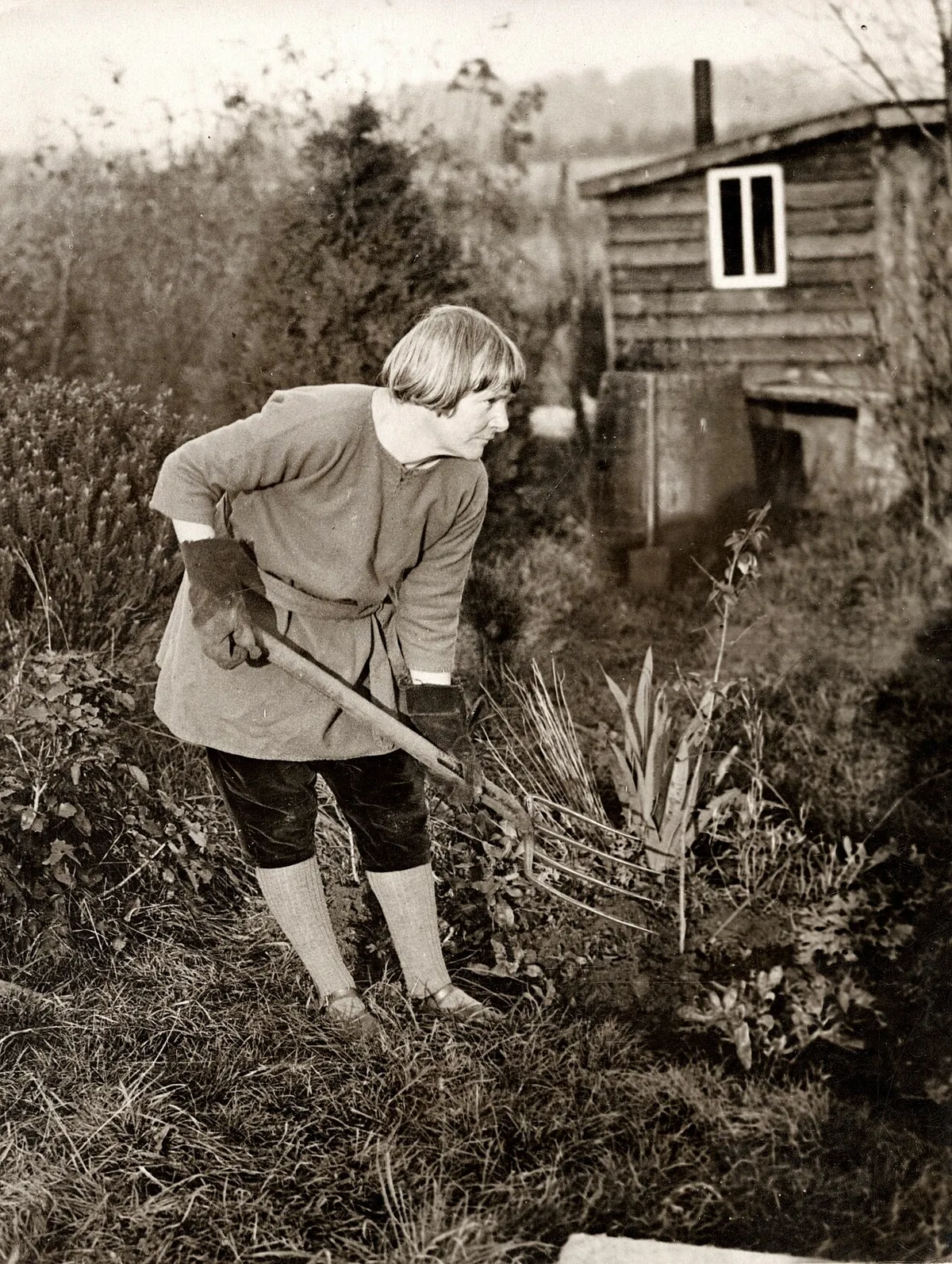 Omschrijving: Natuurmensen 1924. Kolonie van 'primitieven' in Engeland. man is in de tuin aan het werk voor zijn houten huisje. Een regenton vangt het water op.