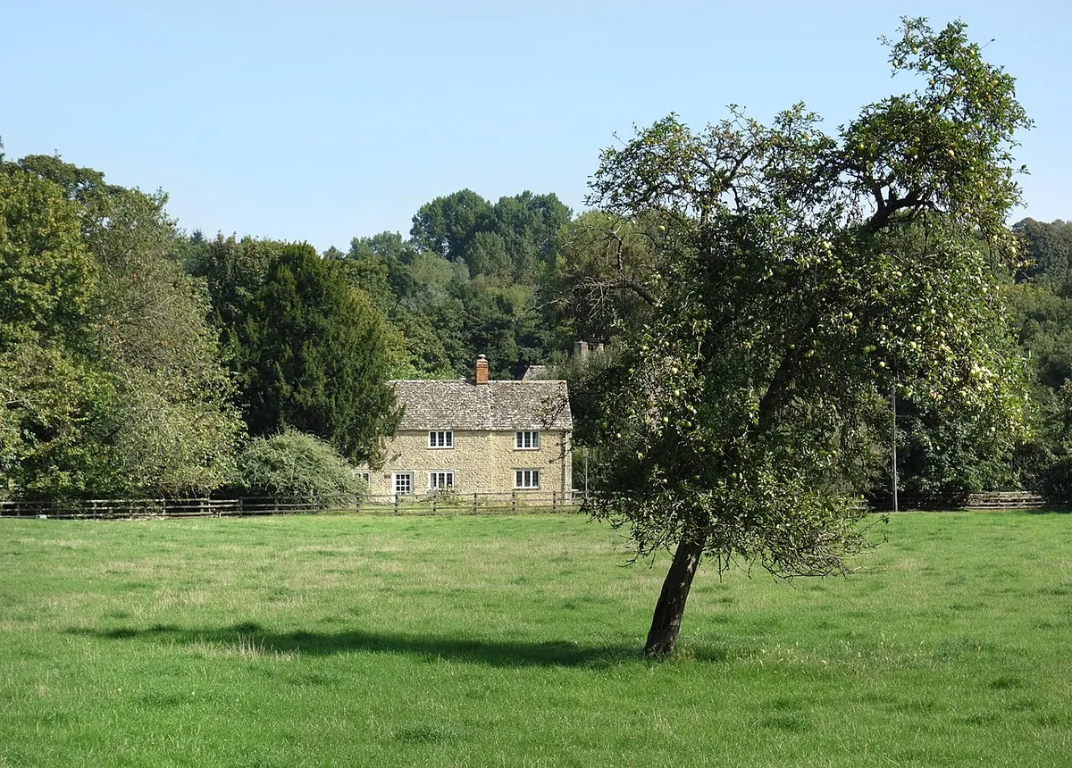 A Leaning Apple Tree, Steeple Barton