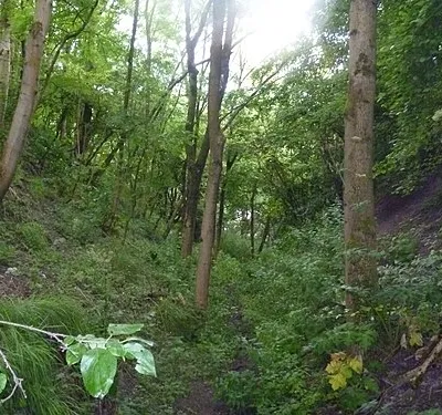 Down the escarpment