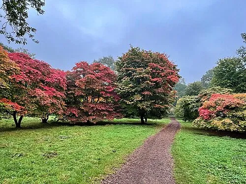 Autumn Colour