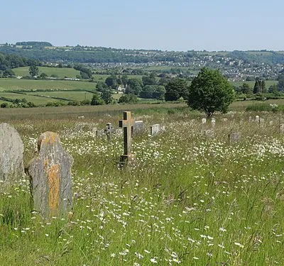 A meadow graveyard