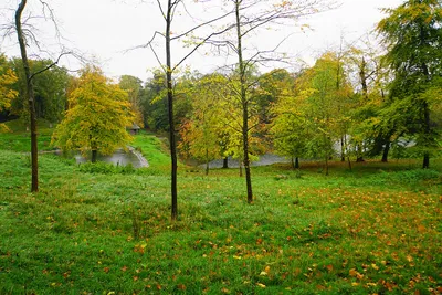 Autumn colours near Cornwell Manor