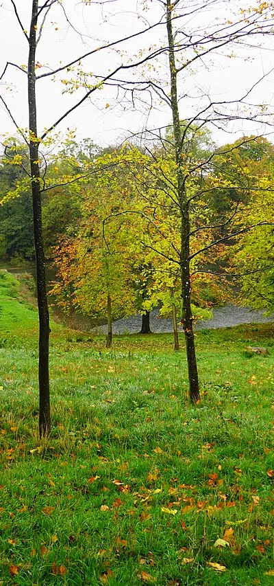 Autumn colours near Cornwell Manor