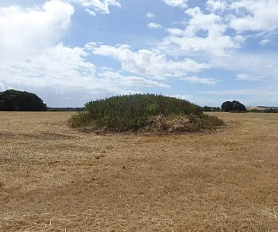 The northeastern end of Starveall Long Barrow, an early neolithic monument in Gloucestershire. 

This is a photo of listed building number 1002473.