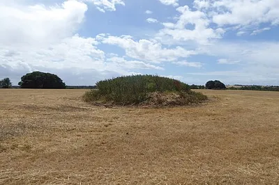 The northeastern end of Starveall Long Barrow, an early neolithic monument in Gloucestershire.
This is a photo of listed building number 1002473.