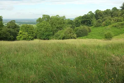 Bridleway down Bredon Hill