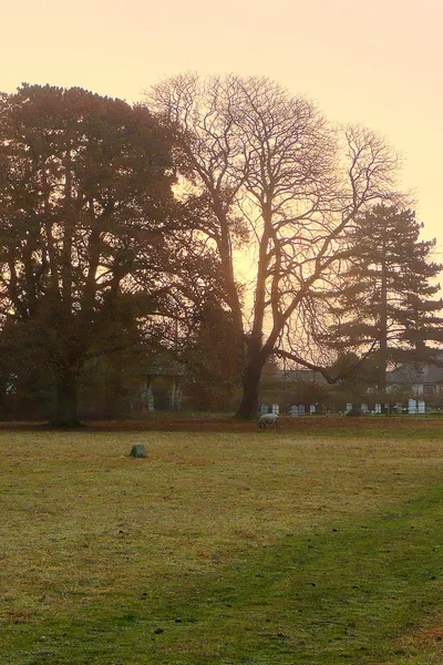 Dawn; Down Hatherley 2