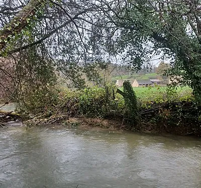 By Brook between Weavern Farm and Box, Wiltshire, England. South of Weavern Farm, Slaughterford.