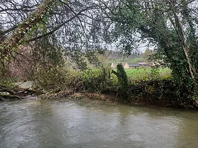 By Brook between Weavern Farm and Box, Wiltshire, England. South of Weavern Farm, Slaughterford.