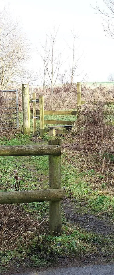 Across the road