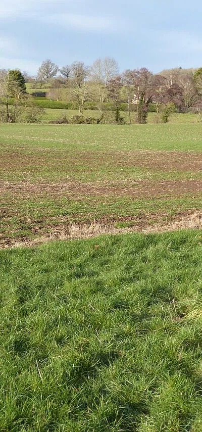 Arable land