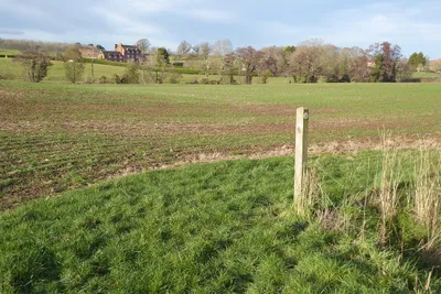Arable land