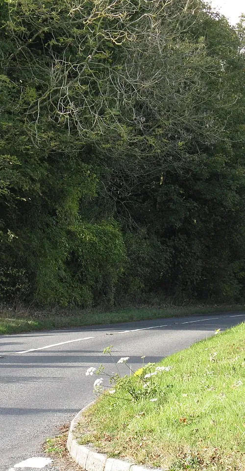 Foxcote