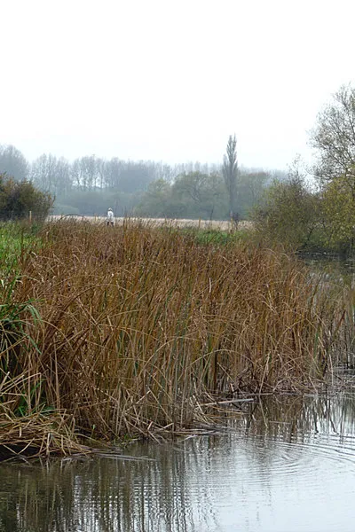 Bend in the river
