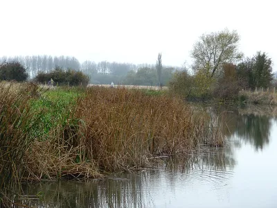 Bend in the river