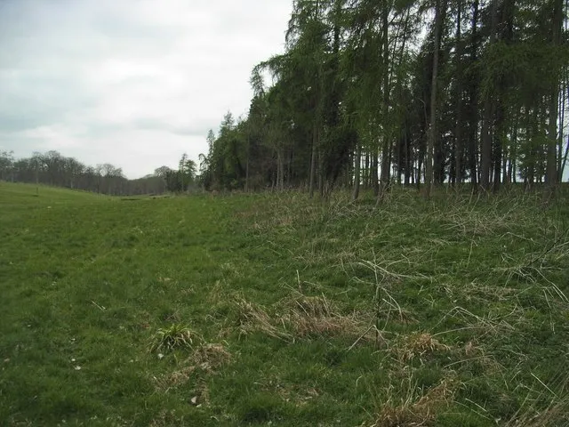 Along Rushy Bank
