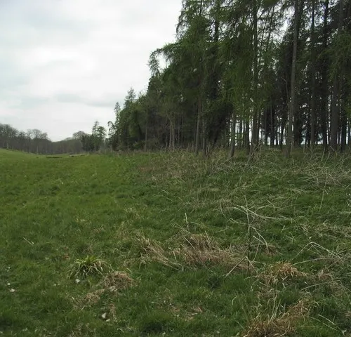 Walcot