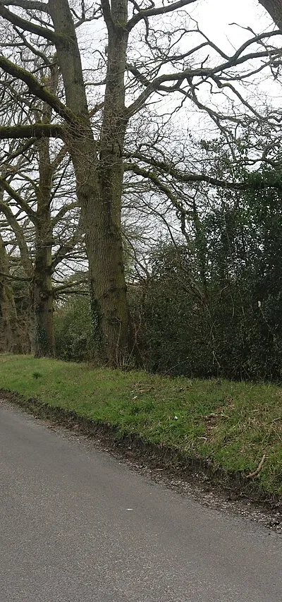 Entering West Woodhay