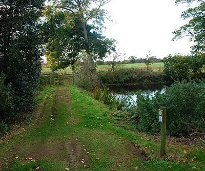 Besselsleigh Fishponds The dam at the south end of one of the former Medieval fishponds at Great Park Farm, Besselsleigh.