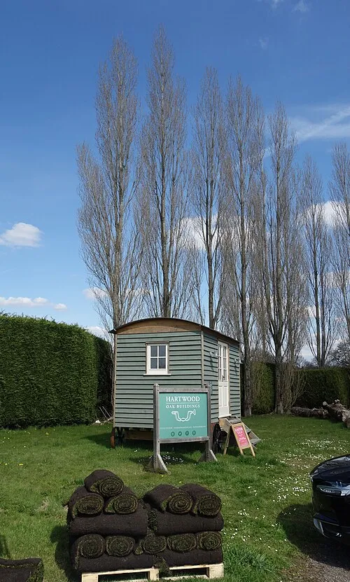 Shed on Wheels at the Garden Centre