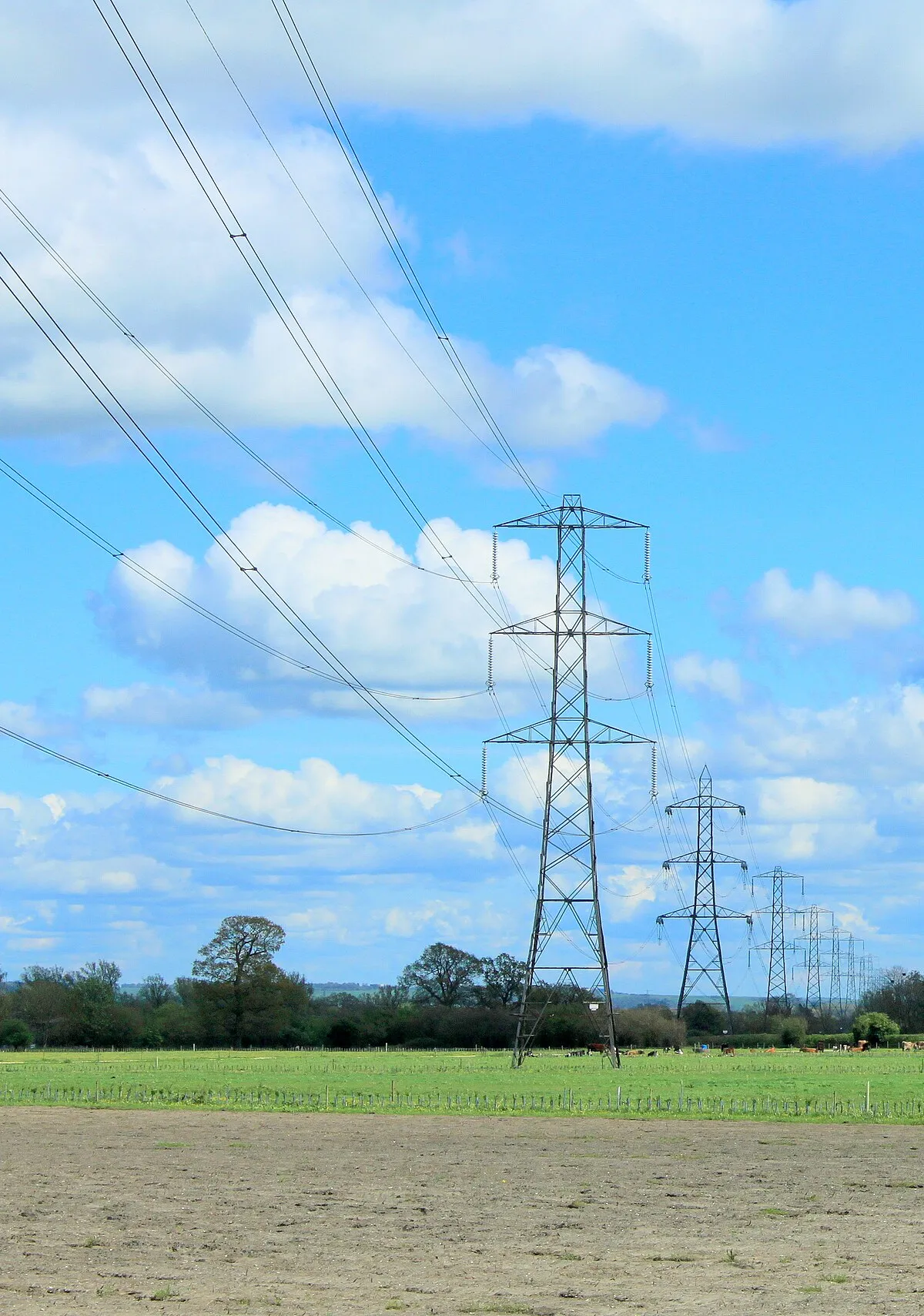 2012 : Electricity pylons bestriding the Vale of Pewsey