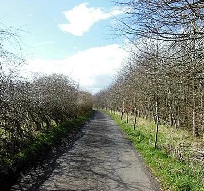 Cotswold Way at Greenway Lane
