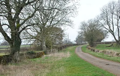 Allengrove Lane, nr Luckington, Wiltshire 2019