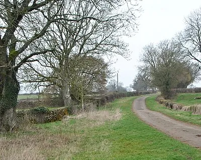 Allengrove Lane, nr Luckington, Wiltshire 2019