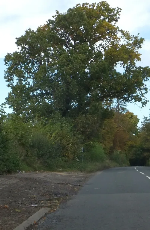 Draycot Cerne