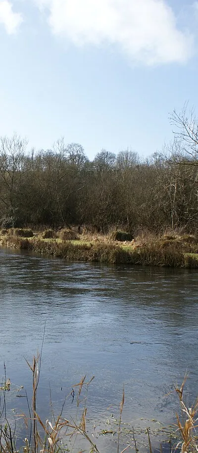 Chilton Marsh