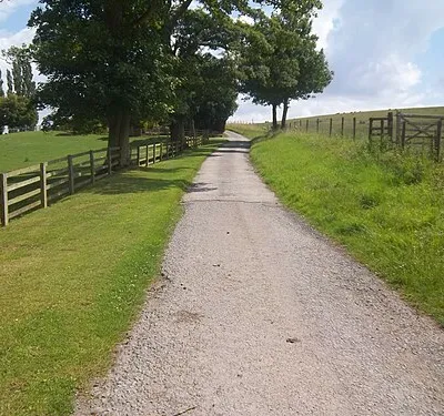 Follow the drive