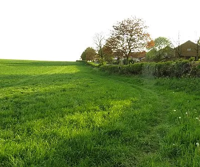 Field by Bankside