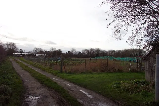 Allotment Gardens Off Mill Lane, Clanfield