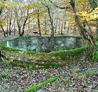 Water storage tank, Savernake Forest, Wiltshire (2)