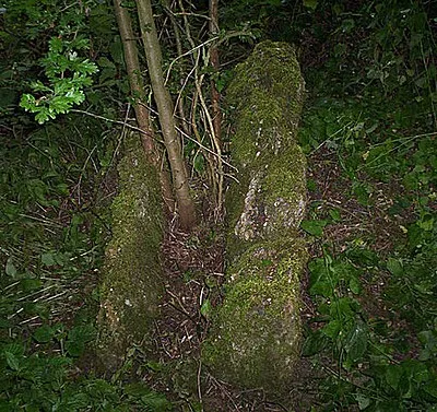 The Giants Stone Extremely difficult to find,well embedded in undergrowth.